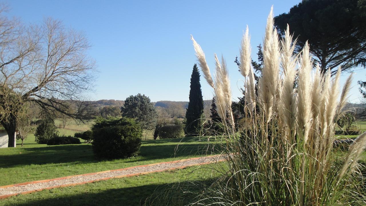 Bed and Breakfast Domaine De Poudos Auterive  Экстерьер фото
