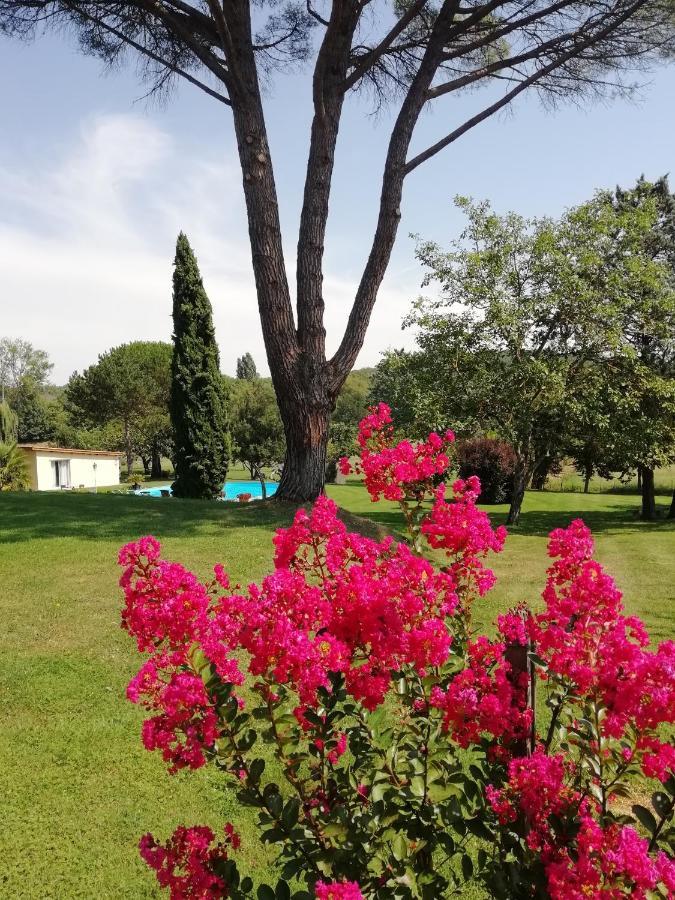 Bed and Breakfast Domaine De Poudos Auterive  Экстерьер фото